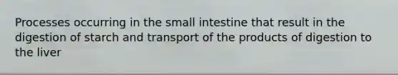 Processes occurring in the small intestine that result in the digestion of starch and transport of the products of digestion to the liver