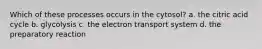 Which of these processes occurs in the cytosol? a. the citric acid cycle b. glycolysis c. the electron transport system d. the preparatory reaction