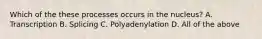 Which of the these processes occurs in the nucleus? A. Transcription B. Splicing C. Polyadenylation D. All of the above