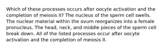 Which of these processes occurs after oocyte activation and the completion of meiosis II? The nucleus of the sperm cell swells. The nuclear material within the ovum reorganizes into a female pronucleus. The head, neck, and middle pieces of the sperm cell break down. All of the listed processes occur after oocyte activation and the completion of meiosis II.