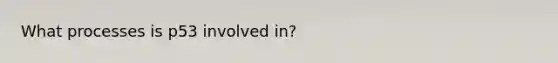 What processes is p53 involved in?
