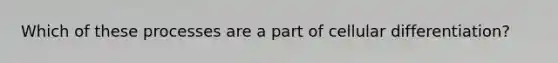 Which of these processes are a part of cellular differentiation?