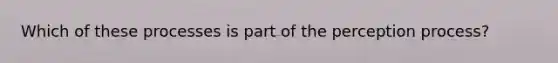 Which of these processes is part of the perception process?