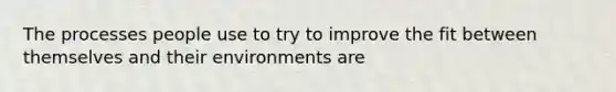 The processes people use to try to improve the fit between themselves and their environments are