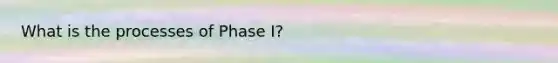 What is the processes of Phase I?