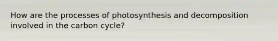 How are the processes of photosynthesis and decomposition involved in the carbon cycle?