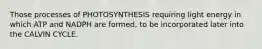 Those processes of PHOTOSYNTHESIS requiring light energy in which ATP and NADPH are formed, to be incorporated later into the CALVIN CYCLE.