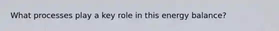 What processes play a key role in this energy balance?