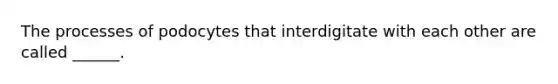 The processes of podocytes that interdigitate with each other are called ______.