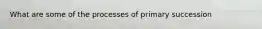 What are some of the processes of primary succession