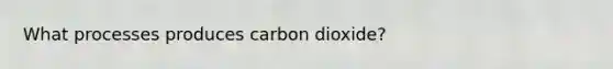 What processes produces carbon dioxide?