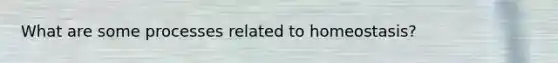 What are some processes related to homeostasis?