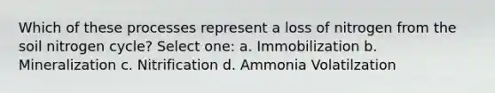 Which of these processes represent a loss of nitrogen from the soil nitrogen cycle? Select one: a. Immobilization b. Mineralization c. Nitrification d. Ammonia Volatilzation