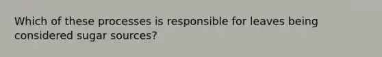 Which of these processes is responsible for leaves being considered sugar sources?