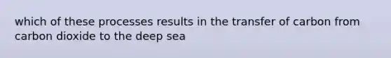 which of these processes results in the transfer of carbon from carbon dioxide to the deep sea