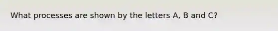 What processes are shown by the letters A, B and C?