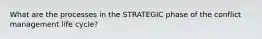 What are the processes in the STRATEGIC phase of the conflict management life cycle?