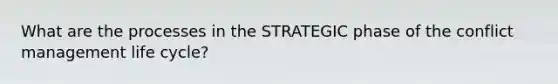 What are the processes in the STRATEGIC phase of the conflict management life cycle?