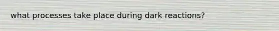 what processes take place during dark reactions?