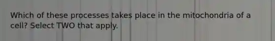 Which of these processes takes place in the mitochondria of a cell? Select TWO that apply.