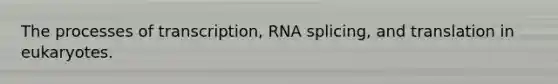 The processes of transcription, RNA splicing, and translation in eukaryotes.