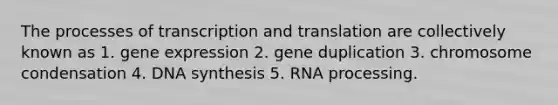 The processes of <a href='https://www.questionai.com/knowledge/kWsjwWywkN-transcription-and-translation' class='anchor-knowledge'>transcription and translation</a> are collectively known as 1. <a href='https://www.questionai.com/knowledge/kFtiqWOIJT-gene-expression' class='anchor-knowledge'>gene expression</a> 2. gene duplication 3. chromosome condensation 4. DNA synthesis 5. RNA processing.