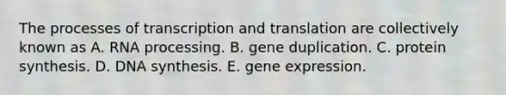 The processes of transcription and translation are collectively known as A. RNA processing. B. gene duplication. C. protein synthesis. D. DNA synthesis. E. gene expression.