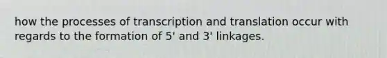 how the processes of transcription and translation occur with regards to the formation of 5' and 3' linkages.