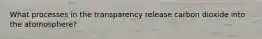 What processes in the transparency release carbon dioxide into the atomosphere?