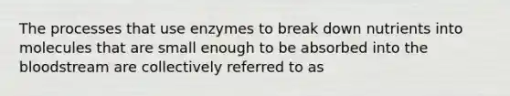 The processes that use enzymes to break down nutrients into molecules that are small enough to be absorbed into the bloodstream are collectively referred to as