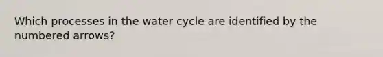 Which processes in the water cycle are identified by the numbered arrows?