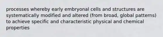 processes whereby early embryonal cells and structures are systematically modified and altered (from broad, global patterns) to achieve specific and characteristic physical and chemical properties