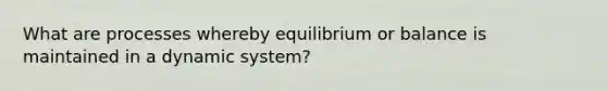 What are processes whereby equilibrium or balance is maintained in a dynamic system?