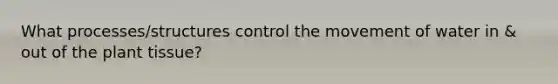 What processes/structures control the movement of water in & out of the plant tissue?