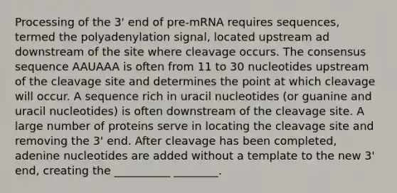 Processing of the 3' end of pre-mRNA requires sequences, termed the polyadenylation signal, located upstream ad downstream of the site where cleavage occurs. The consensus sequence AAUAAA is often from 11 to 30 nucleotides upstream of the cleavage site and determines the point at which cleavage will occur. A sequence rich in uracil nucleotides (or guanine and uracil nucleotides) is often downstream of the cleavage site. A large number of proteins serve in locating the cleavage site and removing the 3' end. After cleavage has been completed, adenine nucleotides are added without a template to the new 3' end, creating the __________ ________.