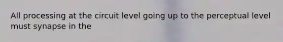 All processing at the circuit level going up to the perceptual level must synapse in the