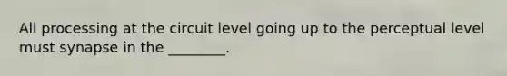All processing at the circuit level going up to the perceptual level must synapse in the ________.