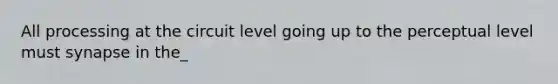 All processing at the circuit level going up to the perceptual level must synapse in the_