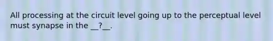 All processing at the circuit level going up to the perceptual level must synapse in the __?__.