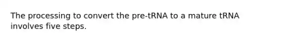 The processing to convert the pre-tRNA to a mature tRNA involves five steps.