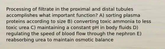 Processing of filtrate in the proximal and distal tubules accomplishes what important function? A) sorting plasma proteins according to size B) converting toxic ammonia to less toxic urea C) maintaining a constant pH in body fluids D) regulating the speed of blood flow through the nephron E) reabsorbing urea to maintain osmotic balance