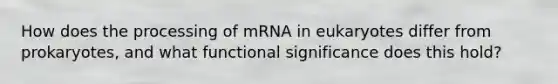 How does the processing of mRNA in eukaryotes differ from prokaryotes, and what functional significance does this hold?