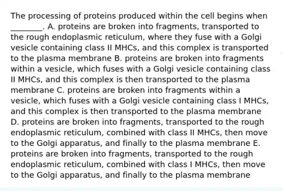 The processing of proteins produced within the cell begins when ________. A. proteins are broken into fragments, transported to the rough endoplasmic reticulum, where they fuse with a Golgi vesicle containing class II MHCs, and this complex is transported to the plasma membrane B. proteins are broken into fragments within a vesicle, which fuses with a Golgi vesicle containing class II MHCs, and this complex is then transported to the plasma membrane C. proteins are broken into fragments within a vesicle, which fuses with a Golgi vesicle containing class I MHCs, and this complex is then transported to the plasma membrane D. proteins are broken into fragments, transported to the rough endoplasmic reticulum, combined with class II MHCs, then move to the Golgi apparatus, and finally to the plasma membrane E. proteins are broken into fragments, transported to the rough endoplasmic reticulum, combined with class I MHCs, then move to the Golgi apparatus, and finally to the plasma membrane