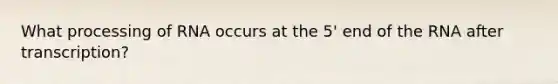 What processing of RNA occurs at the 5' end of the RNA after transcription?