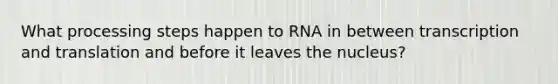 What processing steps happen to RNA in between <a href='https://www.questionai.com/knowledge/kWsjwWywkN-transcription-and-translation' class='anchor-knowledge'>transcription and translation</a> and before it leaves the nucleus?