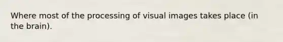 Where most of the processing of visual images takes place (in the brain).