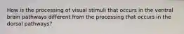 How is the processing of visual stimuli that occurs in the ventral brain pathways different from the processing that occurs in the dorsal pathways?