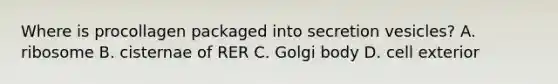 Where is procollagen packaged into secretion vesicles? A. ribosome B. cisternae of RER C. Golgi body D. cell exterior