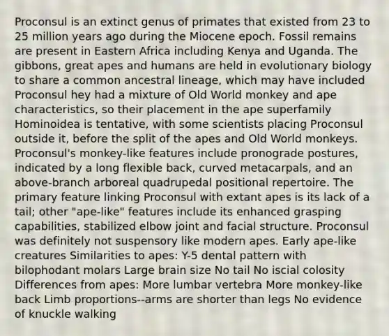 Proconsul is an extinct genus of primates that existed from 23 to 25 million years ago during the Miocene epoch. Fossil remains are present in Eastern Africa including Kenya and Uganda. The gibbons, great apes and humans are held in evolutionary biology to share a common ancestral lineage, which may have included Proconsul hey had a mixture of Old World monkey and ape characteristics, so their placement in the ape superfamily Hominoidea is tentative, with some scientists placing Proconsul outside it, before the split of the apes and Old World monkeys. Proconsul's monkey-like features include pronograde postures, indicated by a long flexible back, curved metacarpals, and an above-branch arboreal quadrupedal positional repertoire. The primary feature linking Proconsul with extant apes is its lack of a tail; other "ape-like" features include its enhanced grasping capabilities, stabilized elbow joint and facial structure. Proconsul was definitely not suspensory like modern apes. Early ape-like creatures Similarities to apes: Y-5 dental pattern with bilophodant molars Large brain size No tail No iscial colosity Differences from apes: More lumbar vertebra More monkey-like back Limb proportions--arms are shorter than legs No evidence of knuckle walking