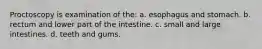 Proctoscopy is examination of the: a. esophagus and stomach. b. rectum and lower part of the intestine. c. small and large intestines. d. teeth and gums.